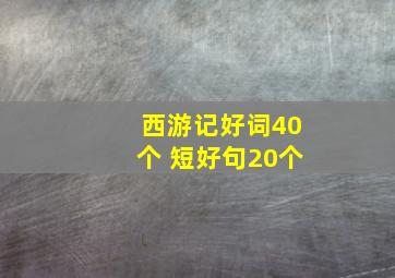 西游记好词40个 短好句20个